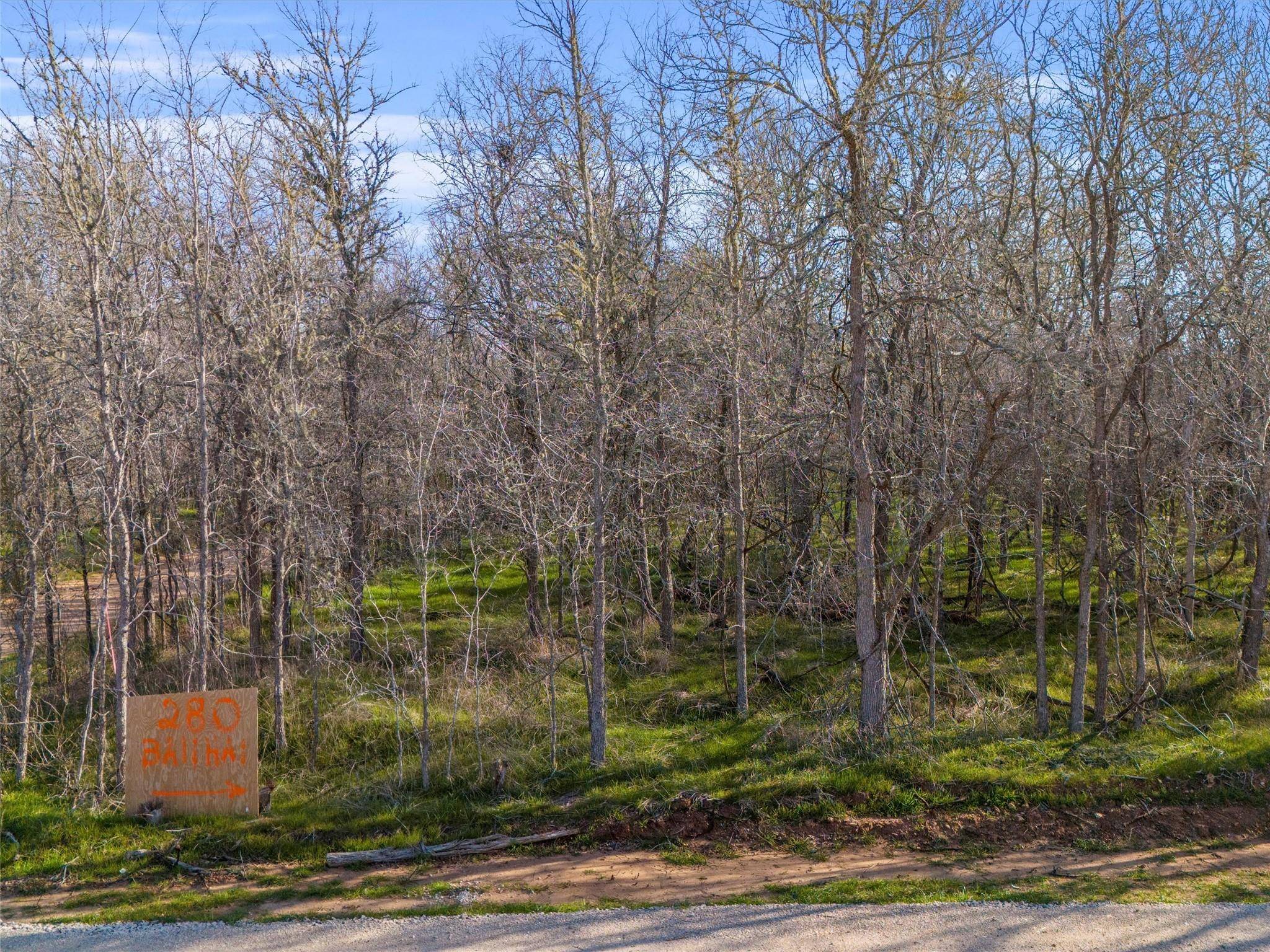 Bastrop, TX 78602,187 Diamond Head DR