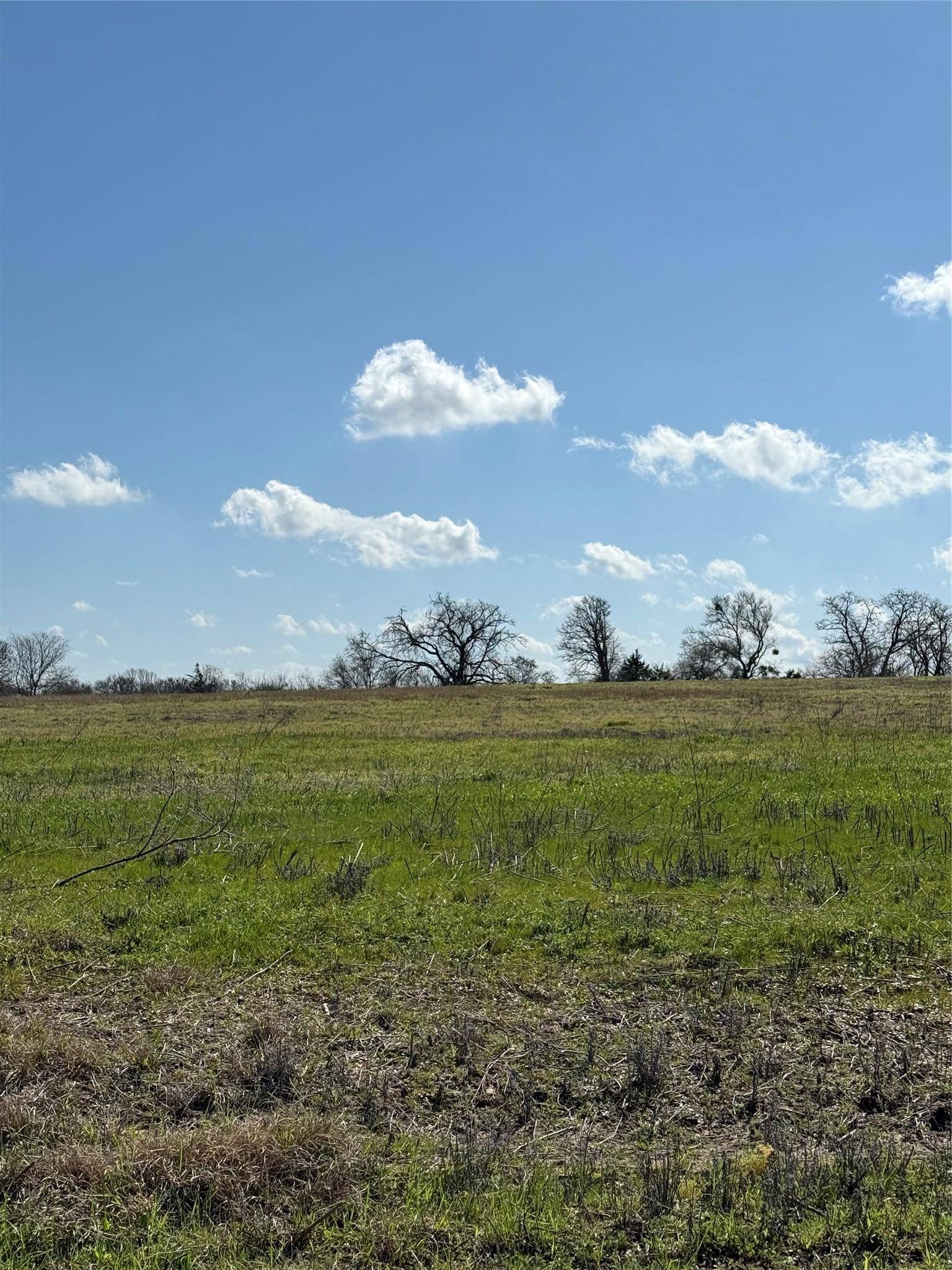 Red Rock, TX 78662,TBD Starlight PATH
