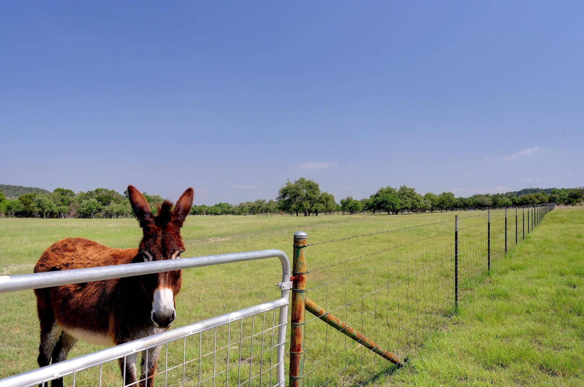 Blanco, TX 78606,880 white ranch RD