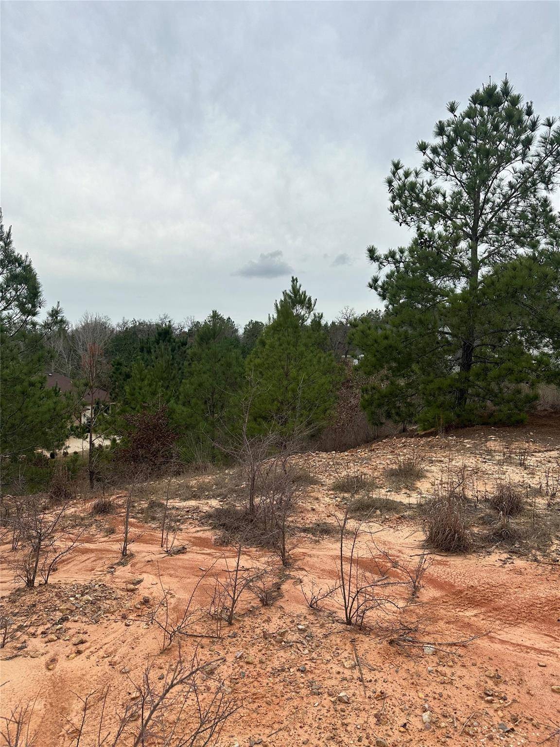 Bastrop, TX 78602,000 Tall Forest DR