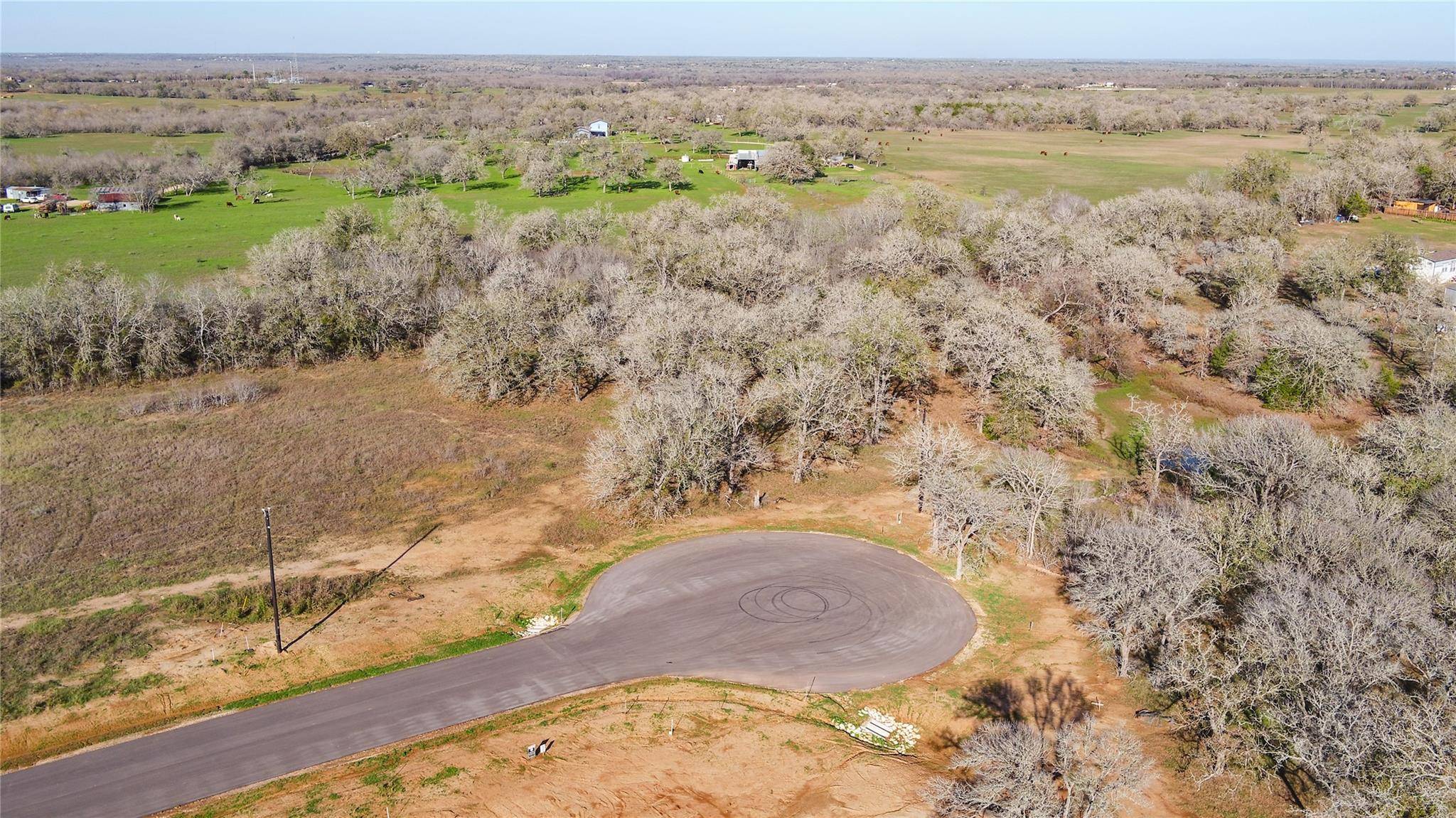 Dale, TX 78616,175 AZALEA CT