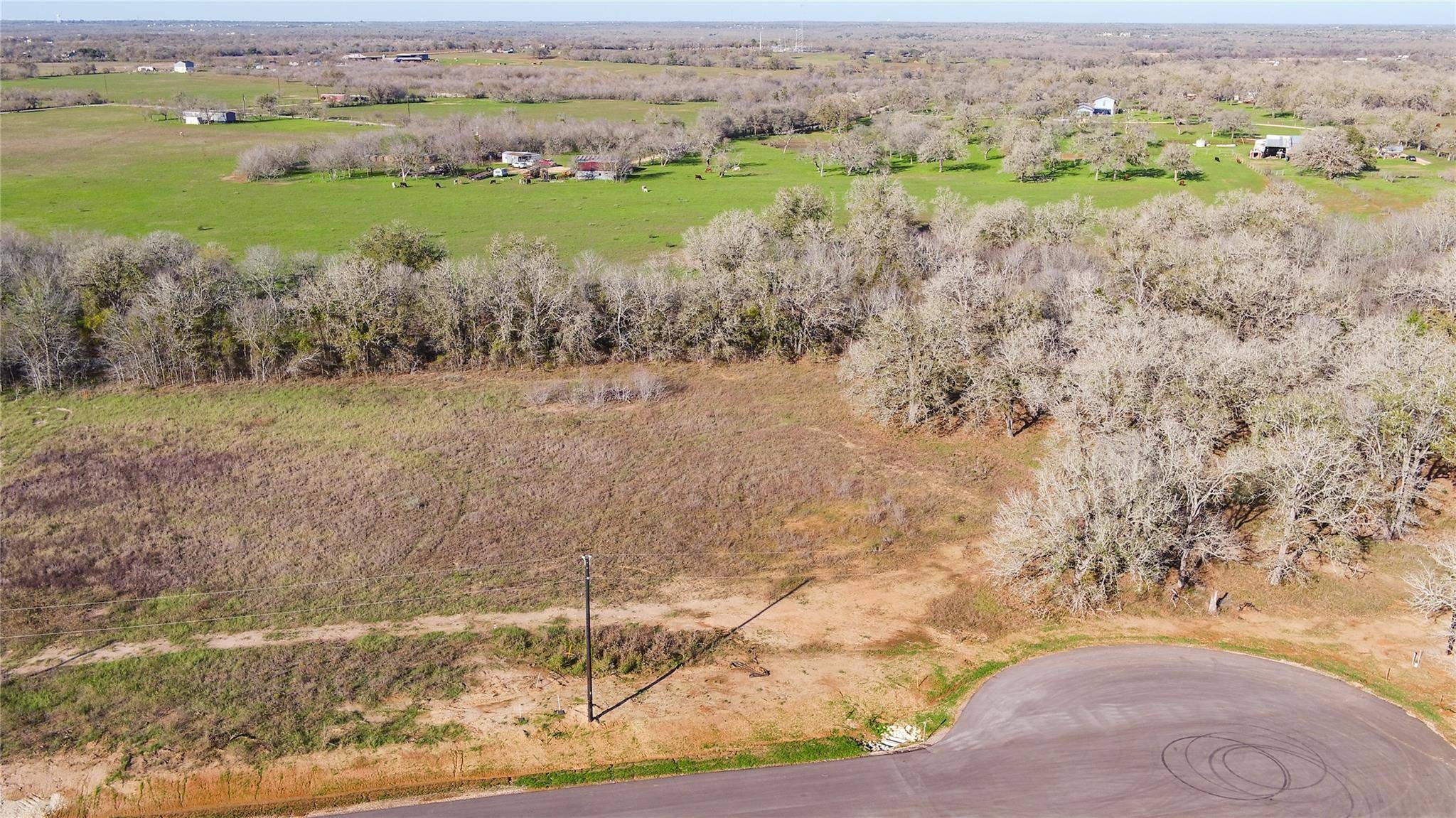 Dale, TX 78616,175 AZALEA CT