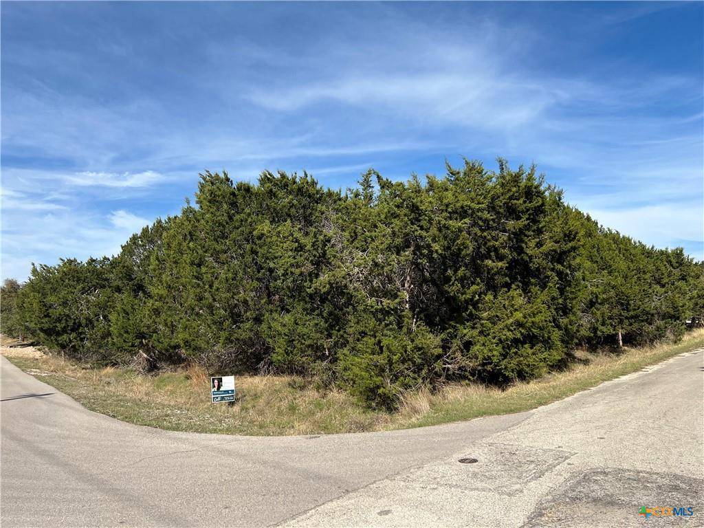 Lago Vista, TX 78645,4201 Hillside DR