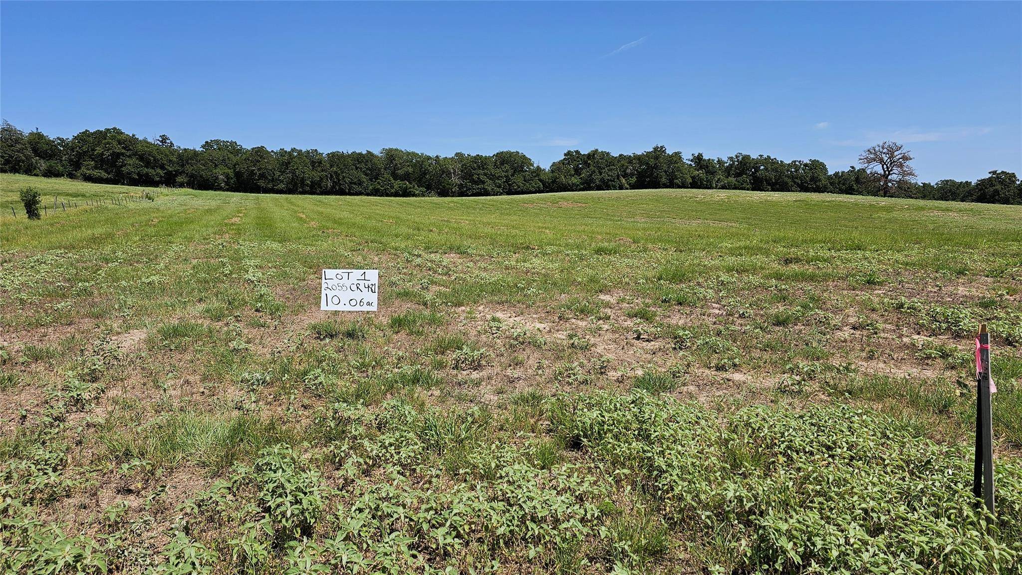 Thrall, TX 76578,2055 CR 481 Tract 1