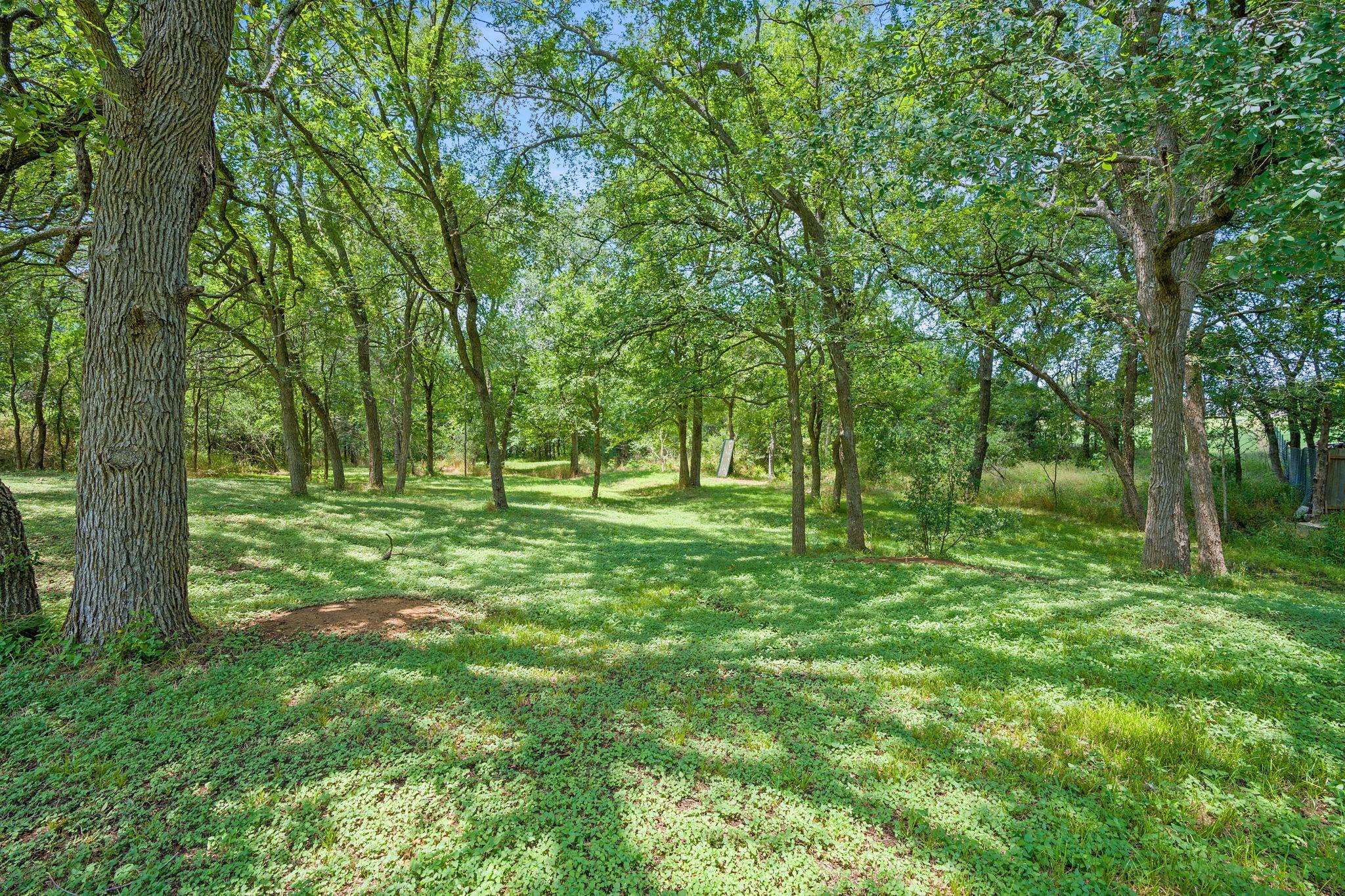 Cedar Creek, TX 78612,121 Wyers PL