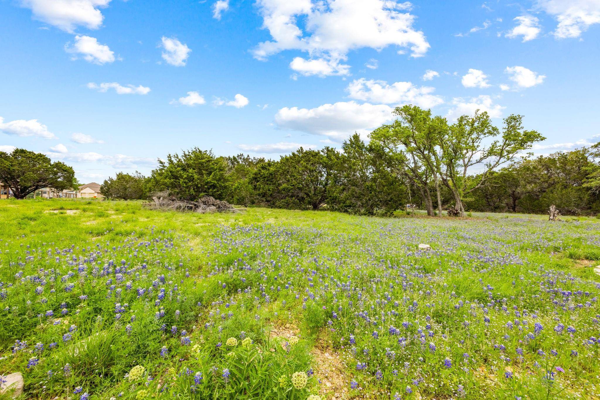 Wimberley, TX 78676,32 Moonlight LN