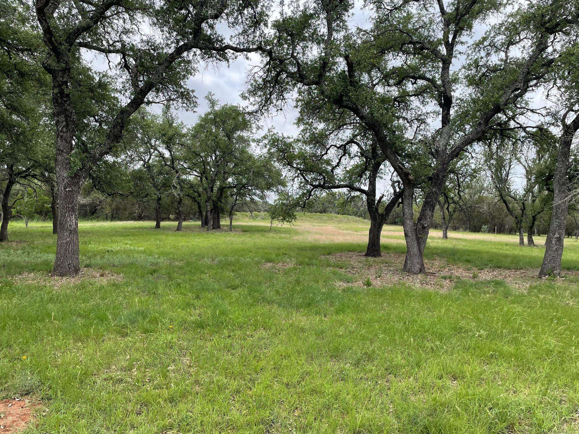 Round Mountain, TX 78663,762 Morning Dew DR