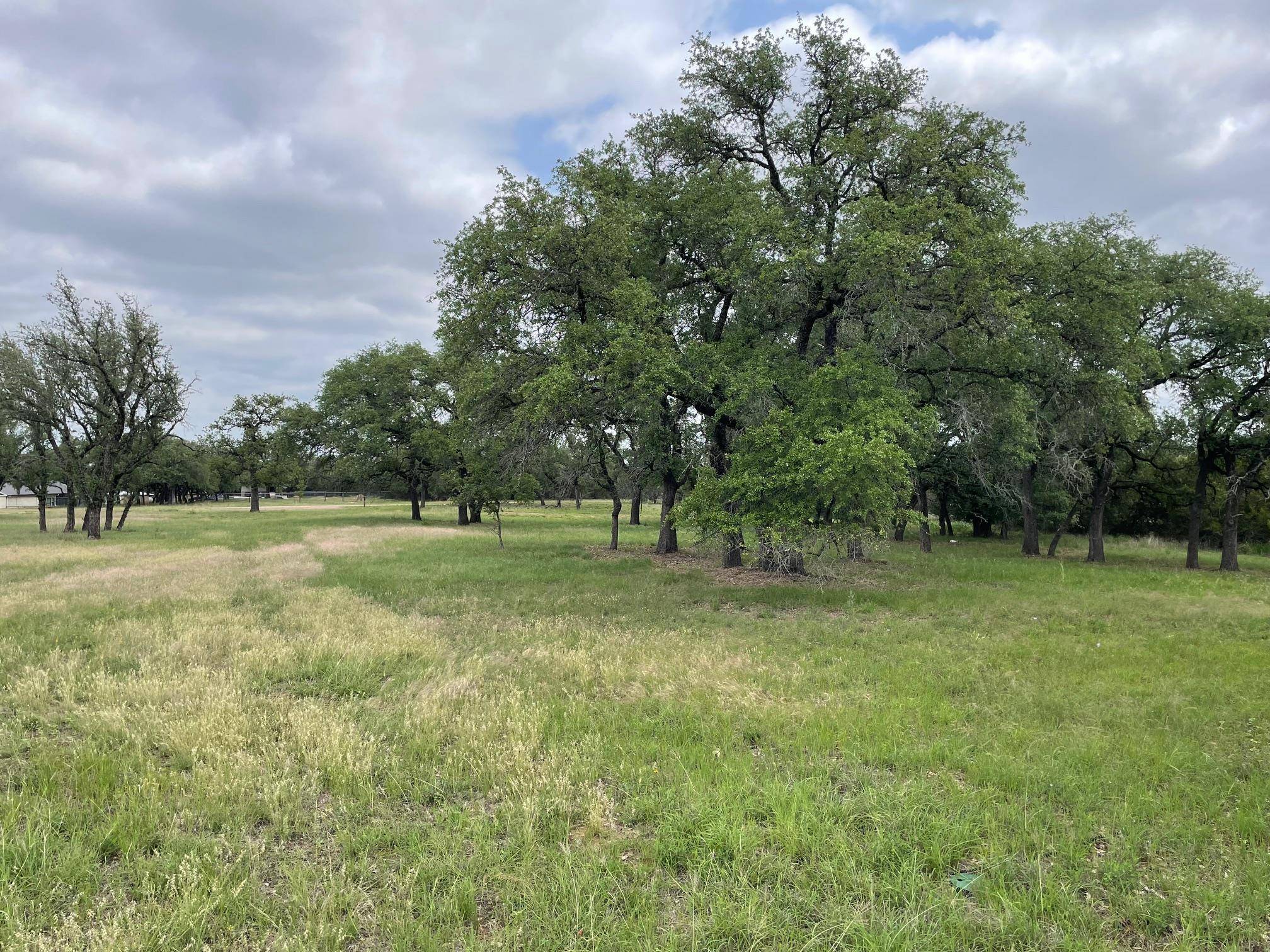 Round Mountain, TX 78663,762 Morning Dew DR