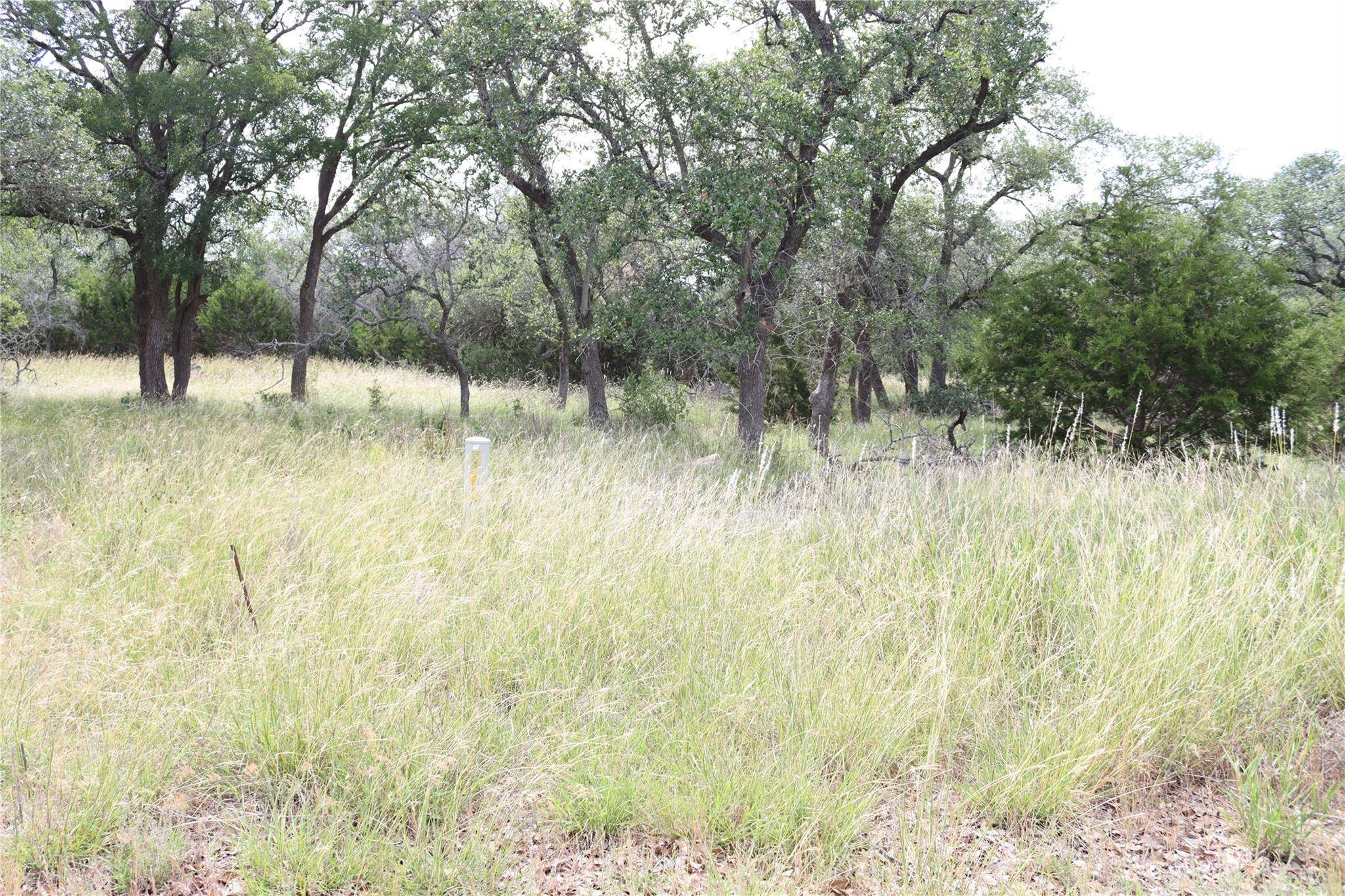 Spring Branch, TX 78070,105 Sabella
