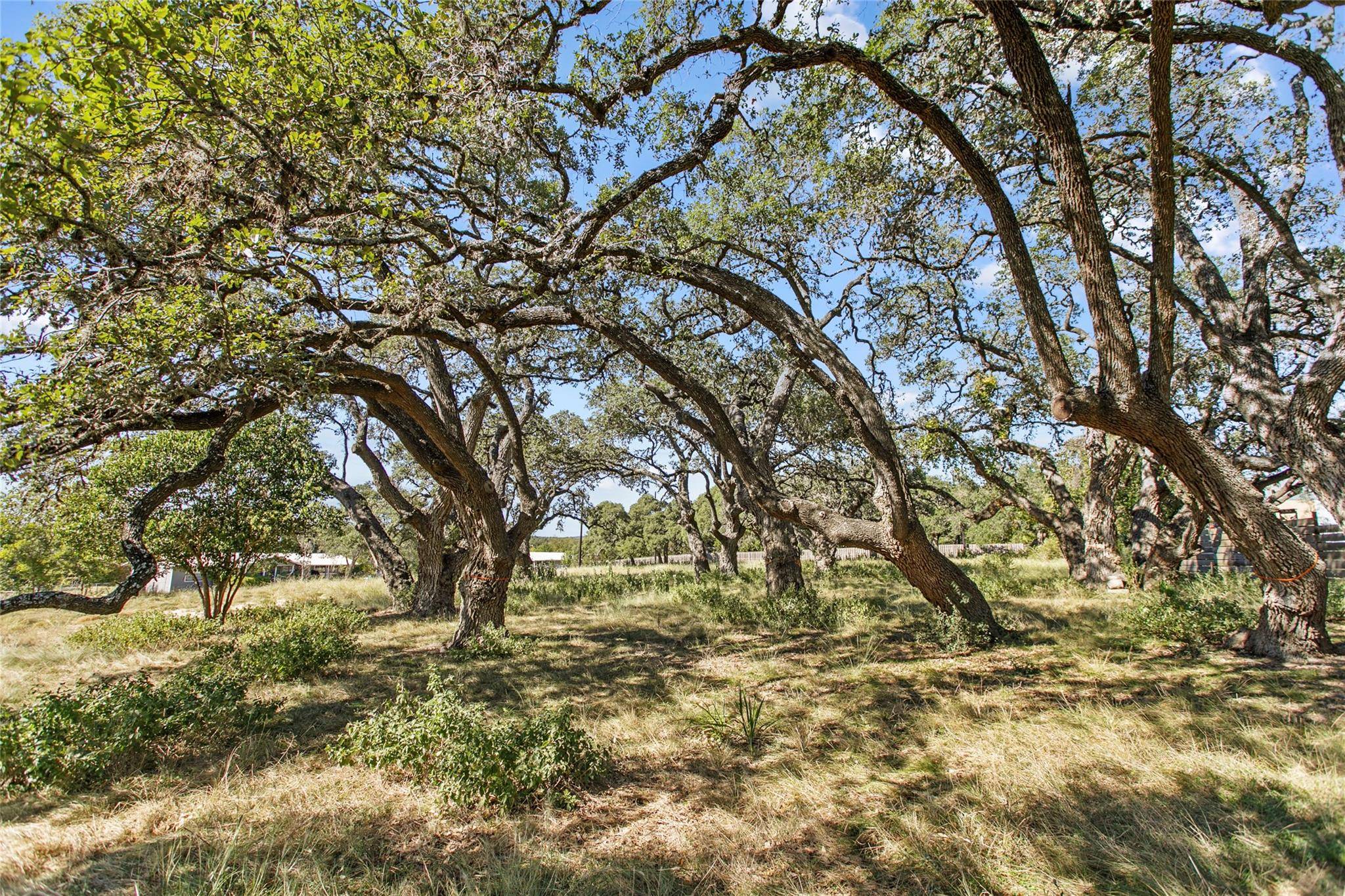 Blanco, TX 78606,1316 Greenlawn PKWY