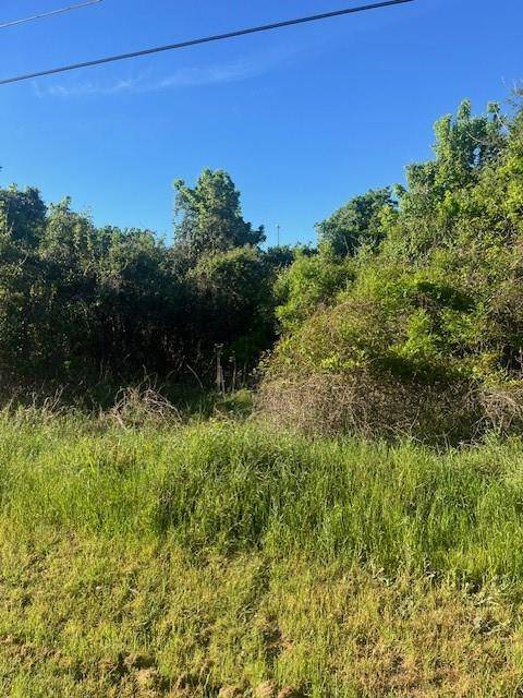 Bastrop, TX 78602,167 Kahana LN