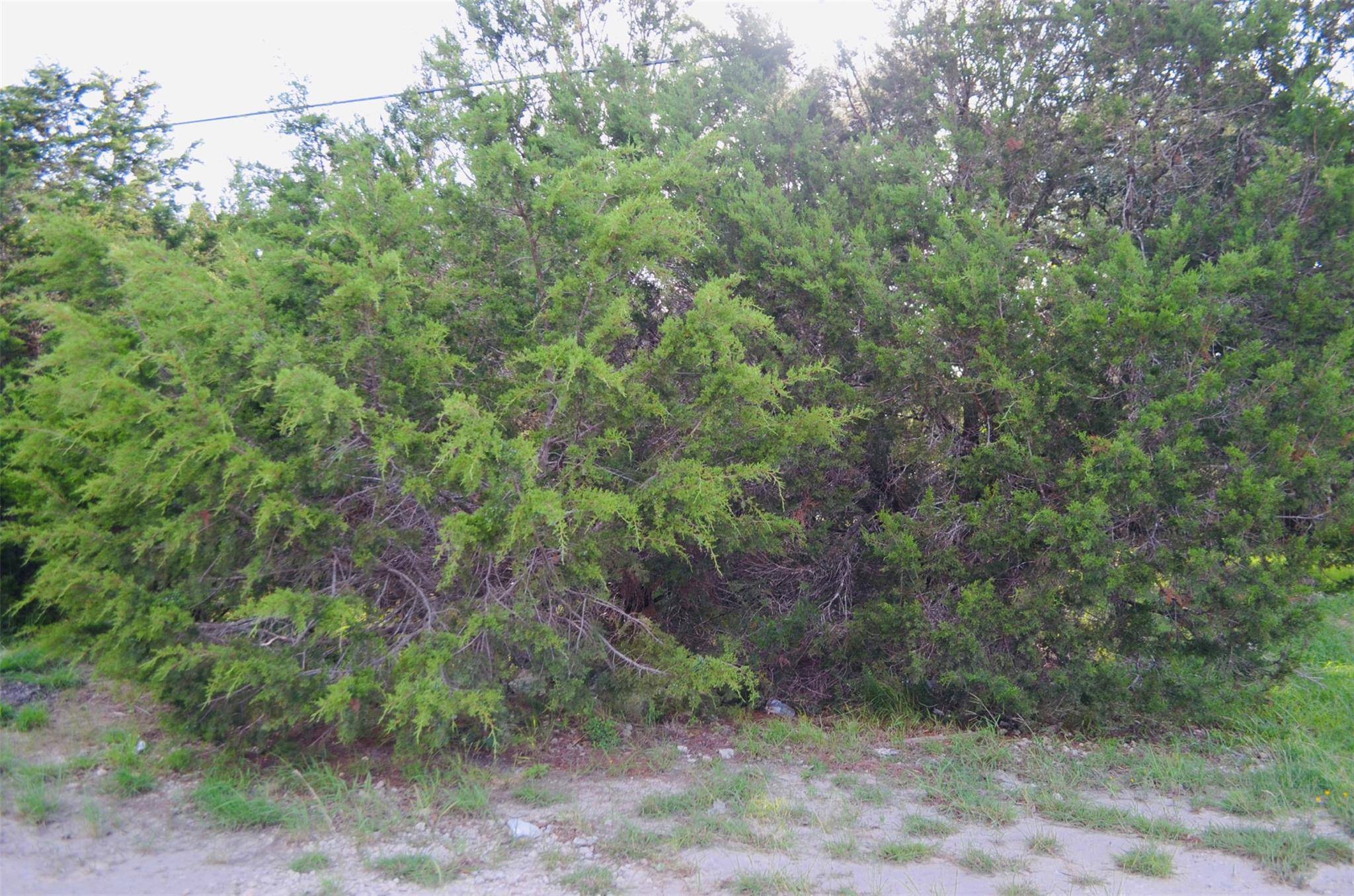 Spring Branch, TX 78070,407 Thunderhead ST