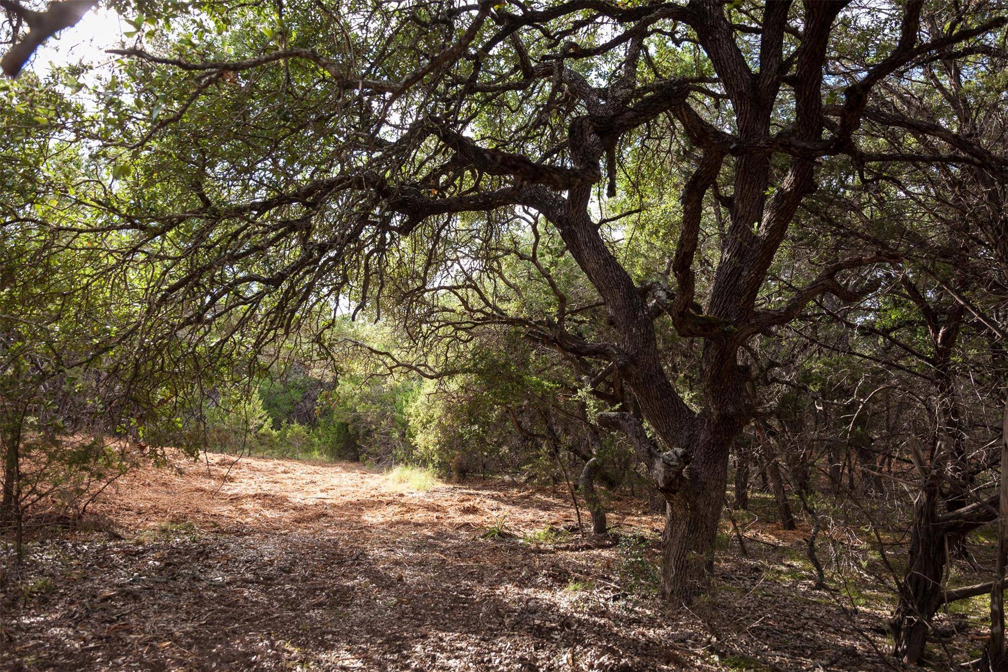 Dripping Springs, TX 78620,1921 Springlake DR