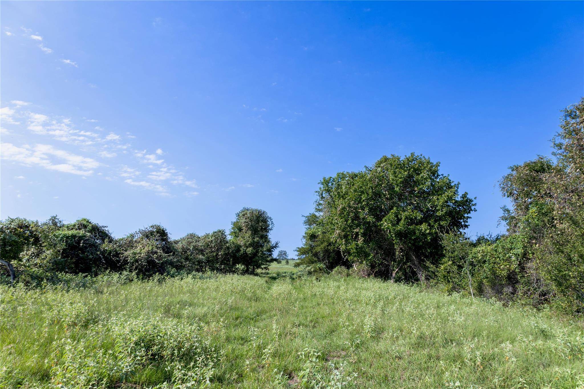 Dale, TX 78616,8000 Old Colony Line RD