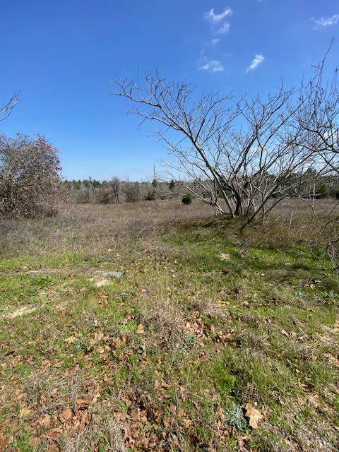 Bastrop, TX 78602,123 Lariat CT