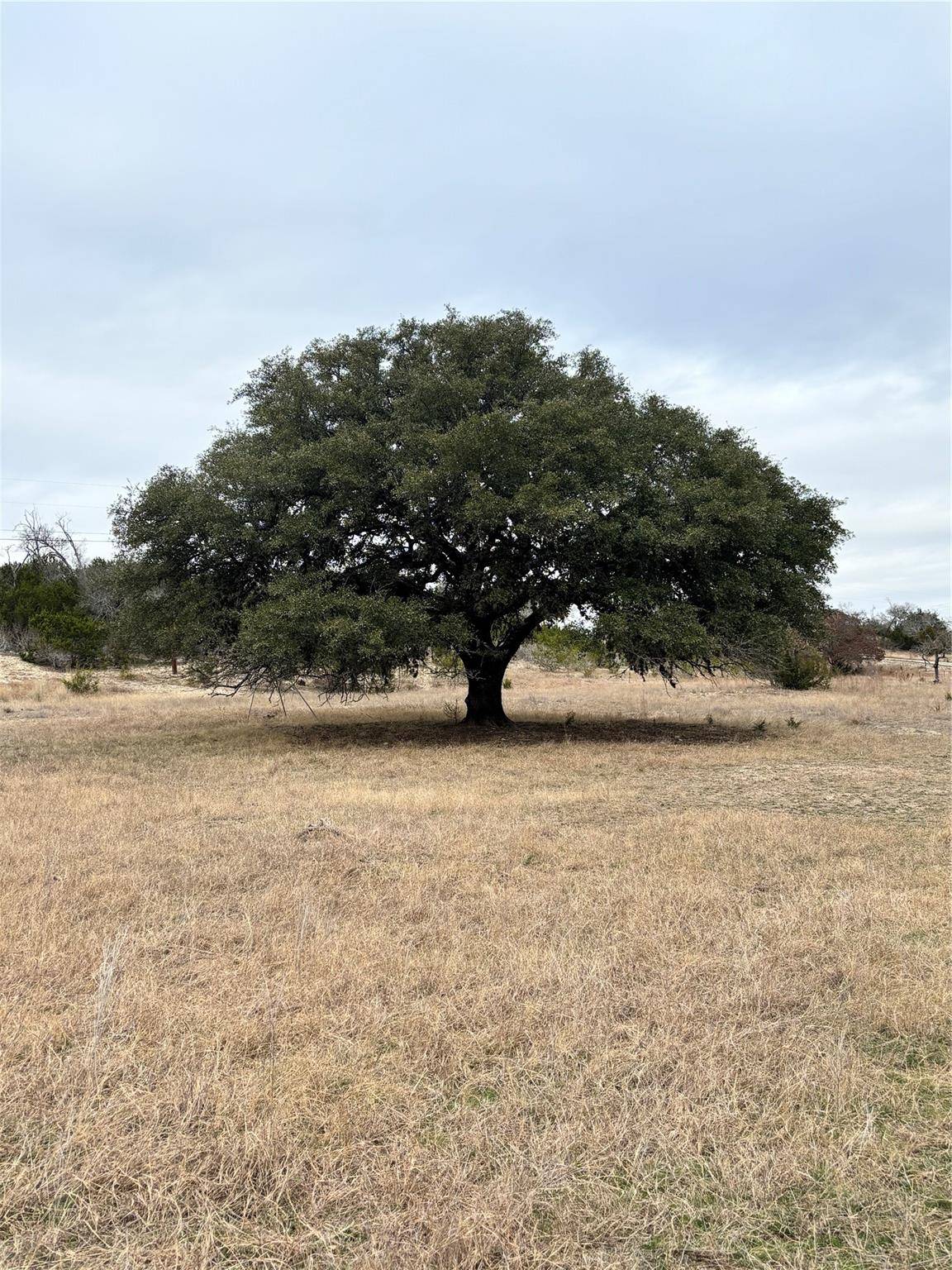 Boerne, TX 78006,105 Lost Valley RD