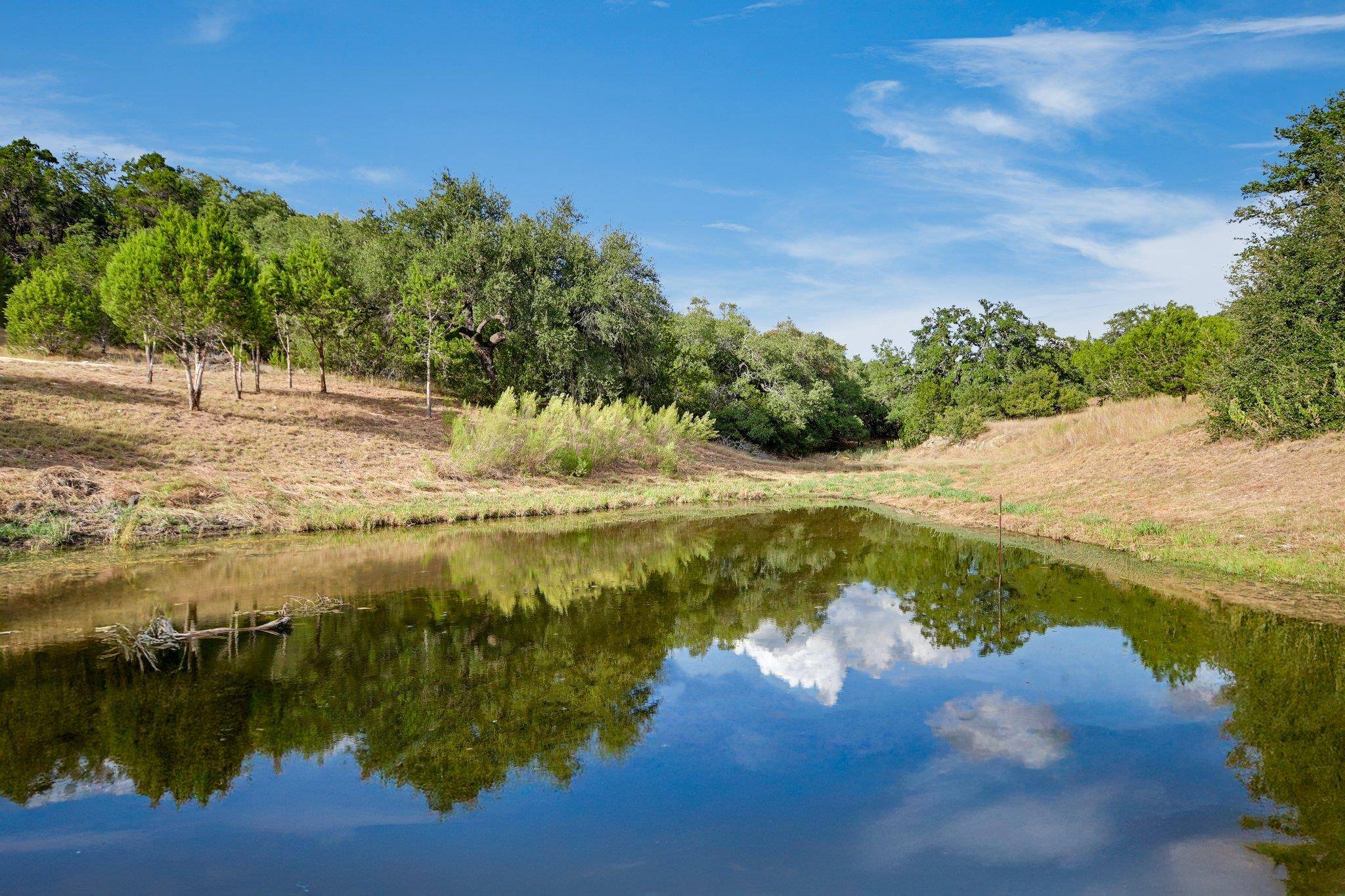 Wimberley, TX 78676,717 Puerto Rico DR