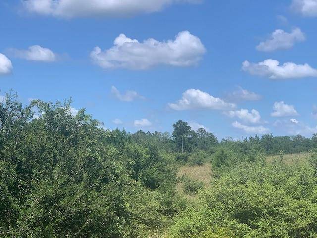 Bastrop, TX 78602,TBD - Lot 8 Colovista DR