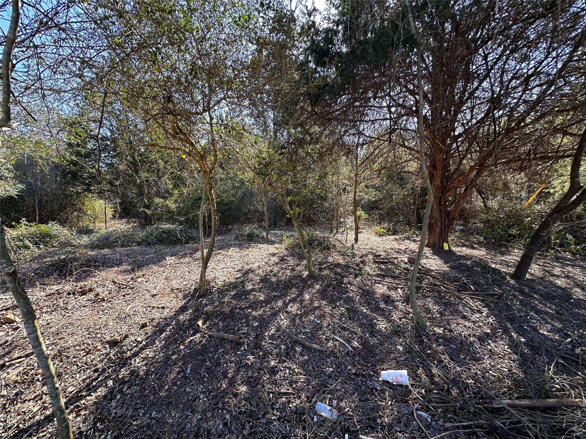 Bastrop, TX 78602,LOT 15 Alta Vista DR