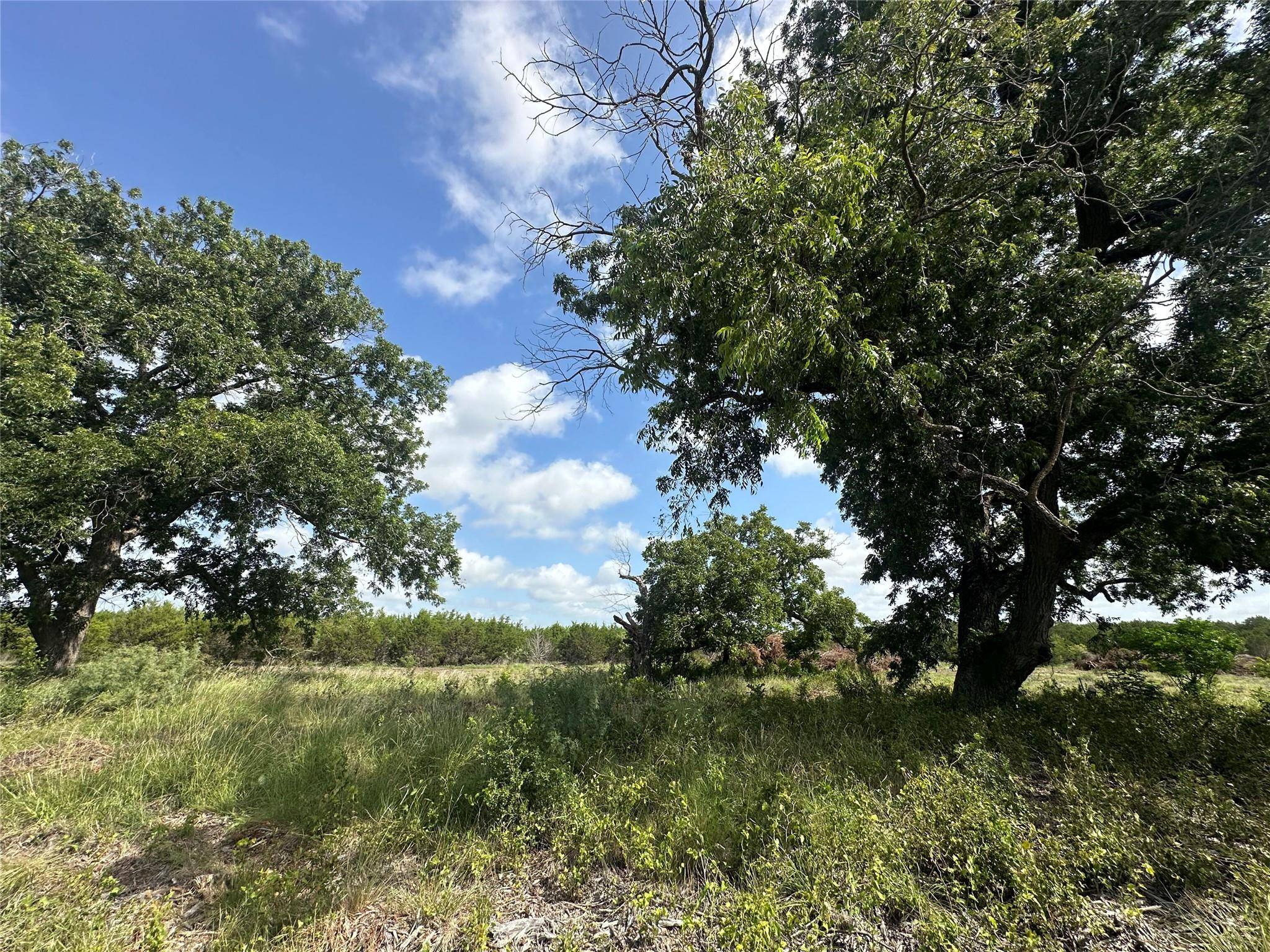 Lampasas, TX 76550,TBD County Road 1255