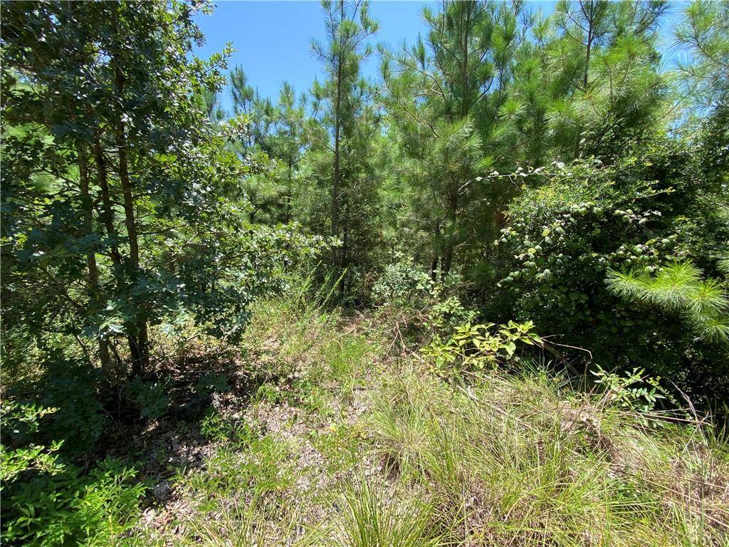 Bastrop, TX 78602,LOT 1734 N Kanaio Dr DR