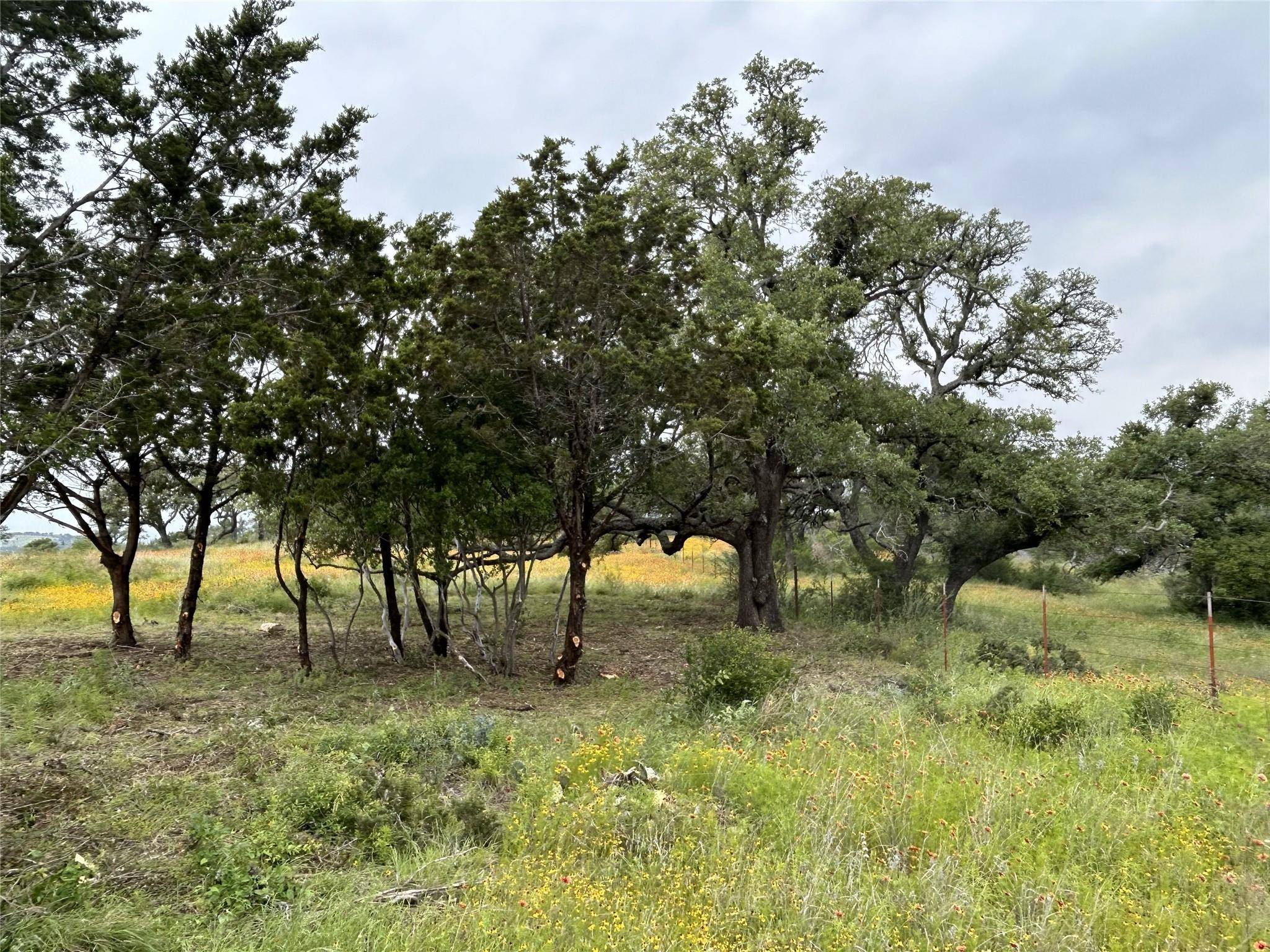 Kingsland, TX 78639,Lot 29 High Range DR