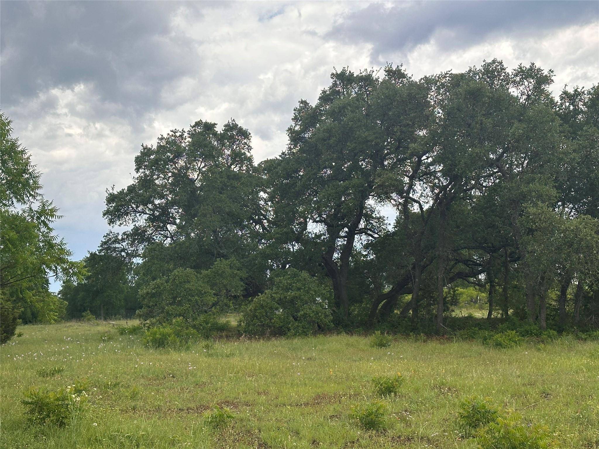 Liberty Hill, TX 78642,Lot 81 Kasen CIR