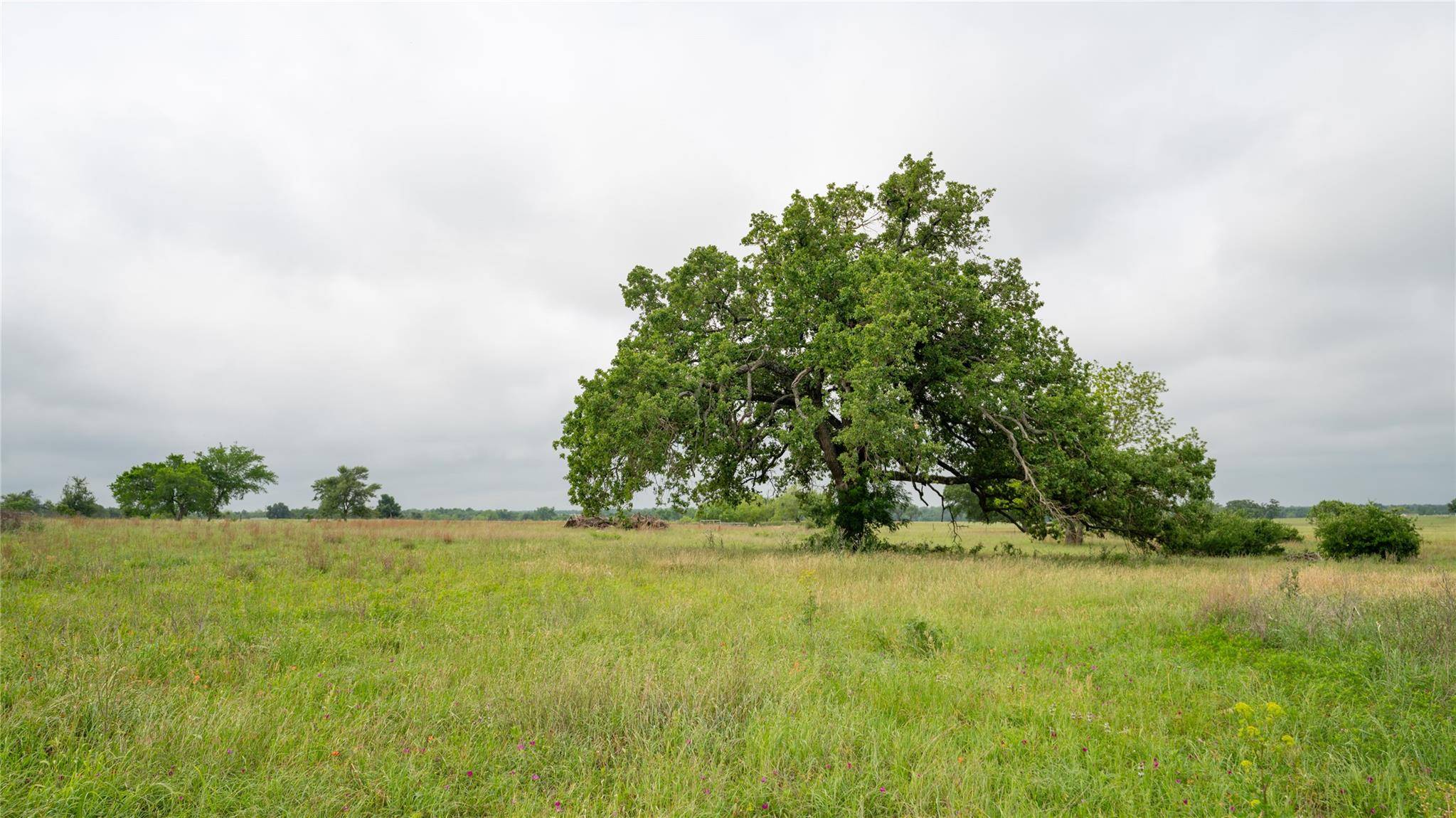 Rockdale, TX 76567,204 Country LN