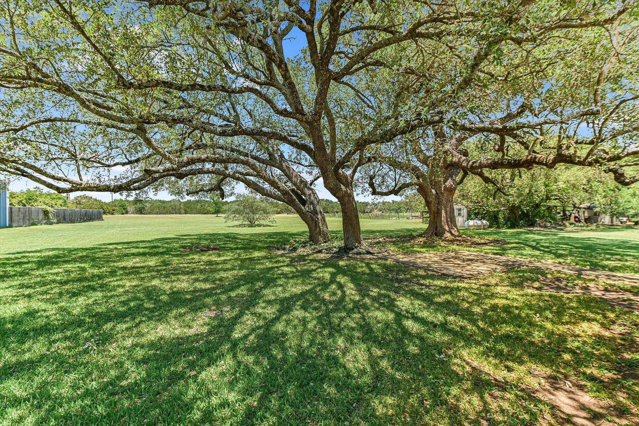 Liberty Hill, TX 78642,401 Westfall TRL