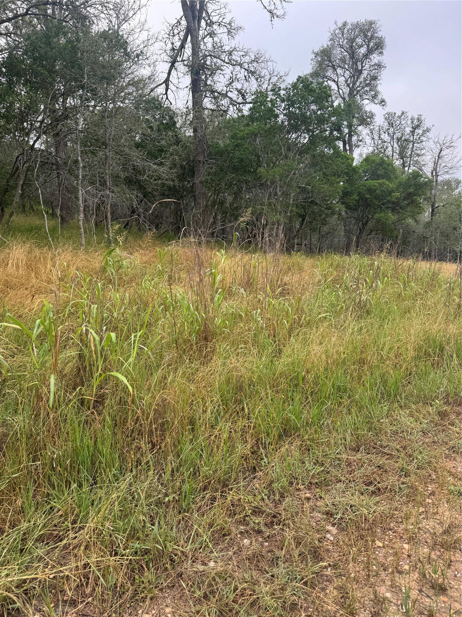 Bastrop, TX 78602,109 Hauula CT