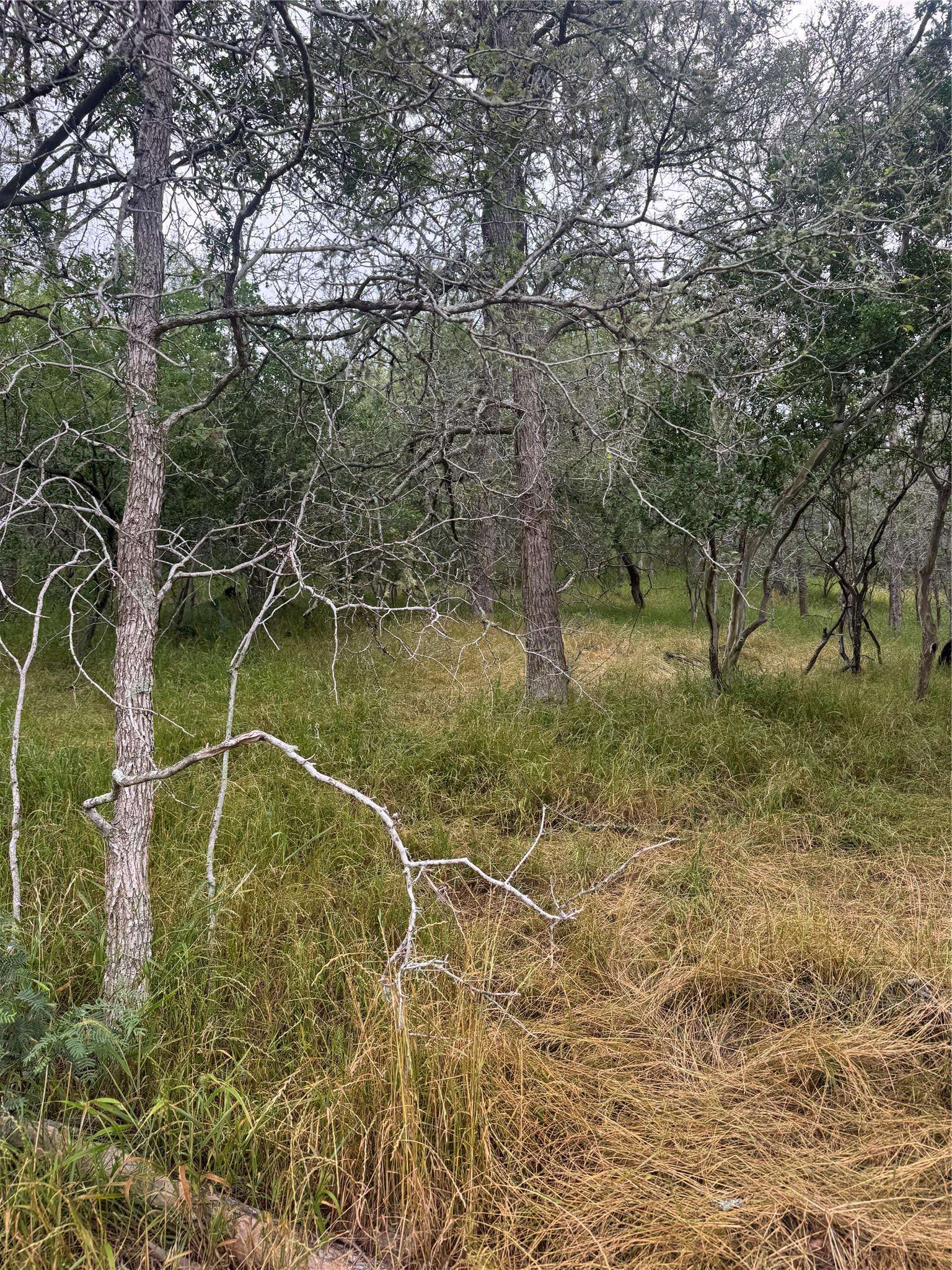 Bastrop, TX 78602,109 Hauula CT
