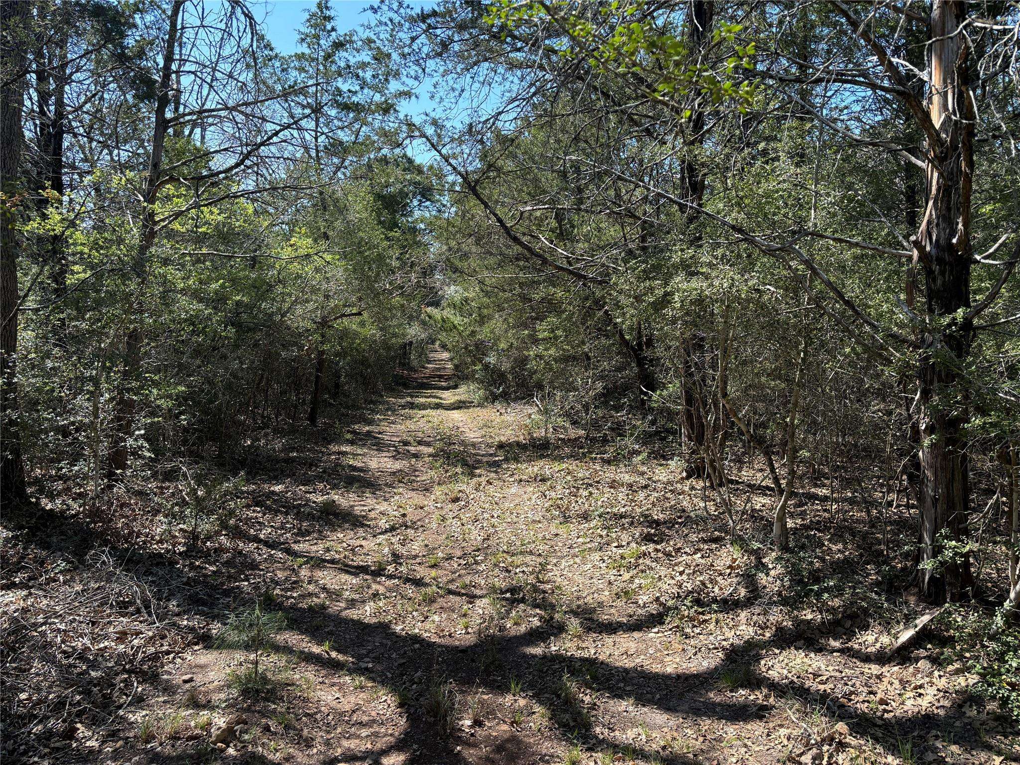 Paige, TX 78659,TBD S. Old Potato RD
