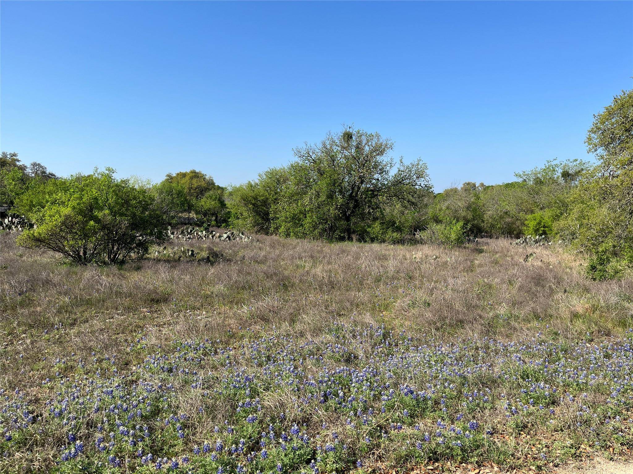Buda, TX 78610,101 Marietta's WAY