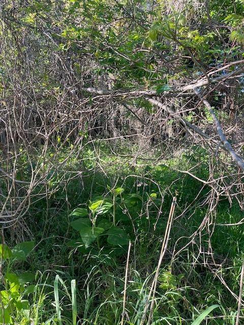 Bastrop, TX 78602,171 Kahana LN