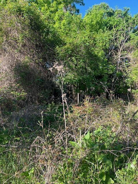 Bastrop, TX 78602,171 Kahana LN