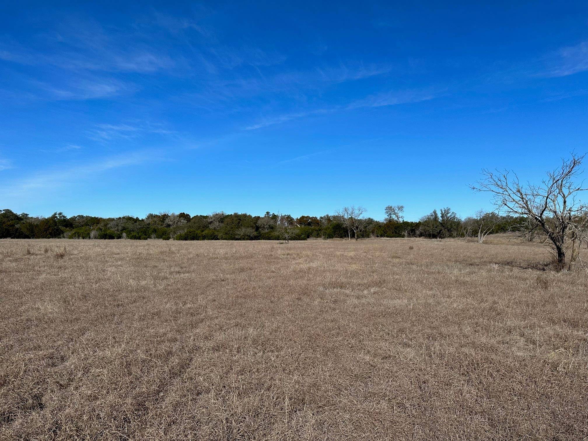 Liberty Hill, TX 78642,301 County Road 285