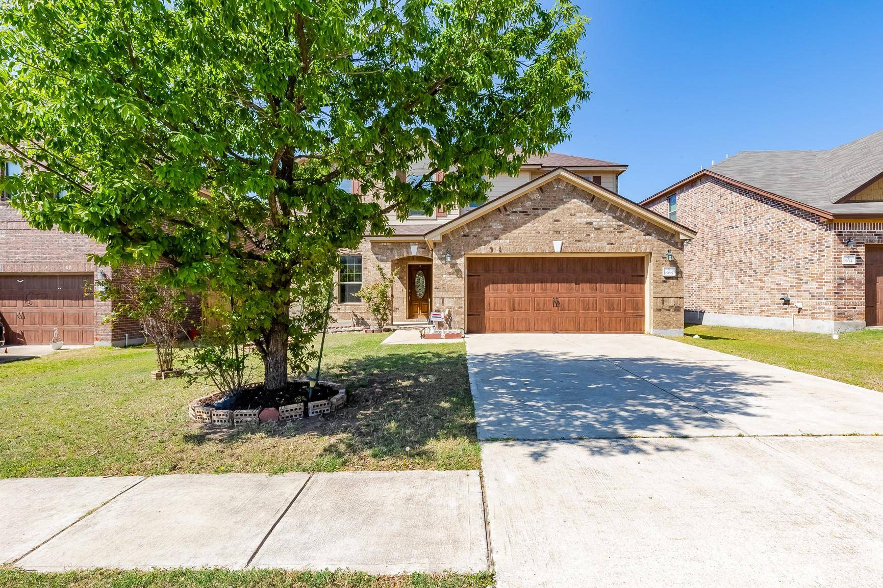 Leander, TX 78641,868 Water Hyacinth LOOP