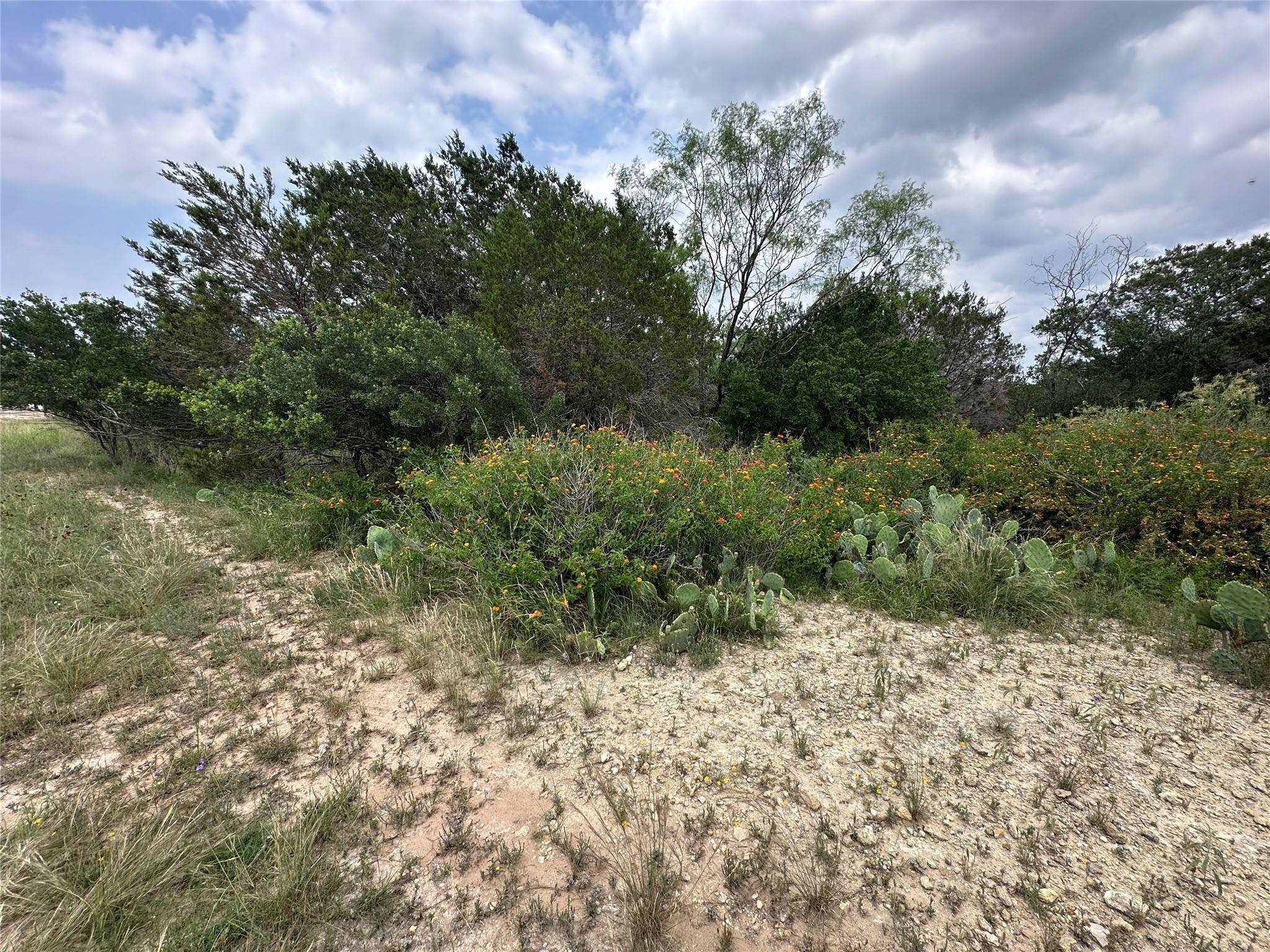 Lago Vista, TX 78645,21412 Highland Lake DR