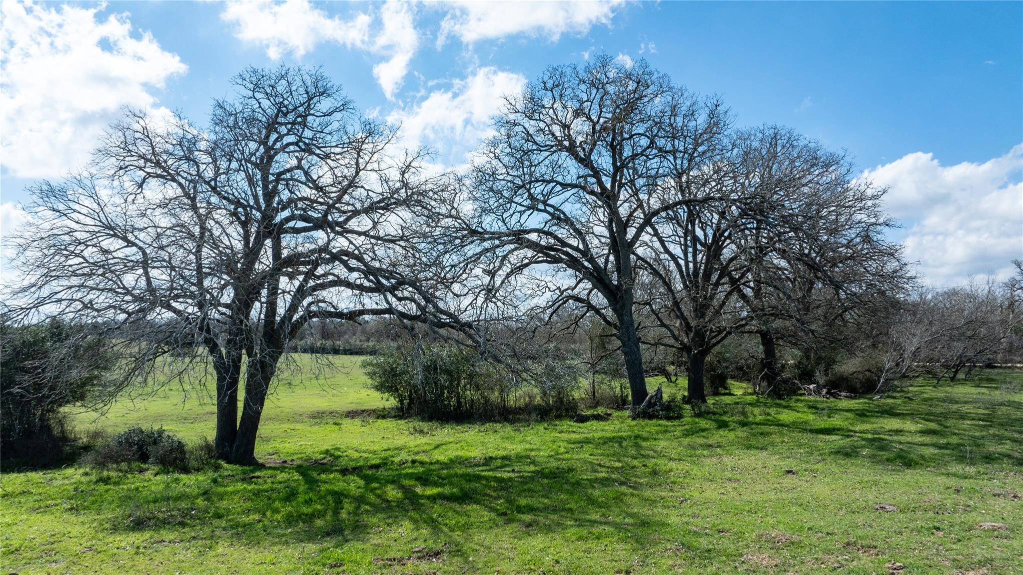 Harwood, TX 78629,Lot 11 Mule Creek Rd