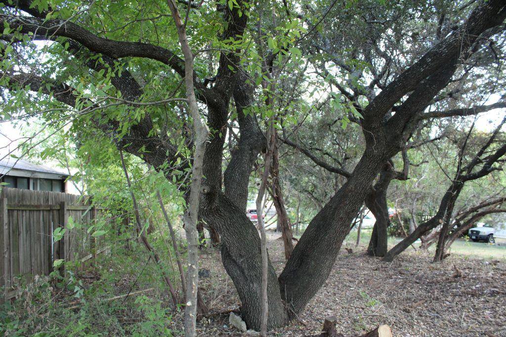 Jonestown, TX 78645,11502 Bee ST