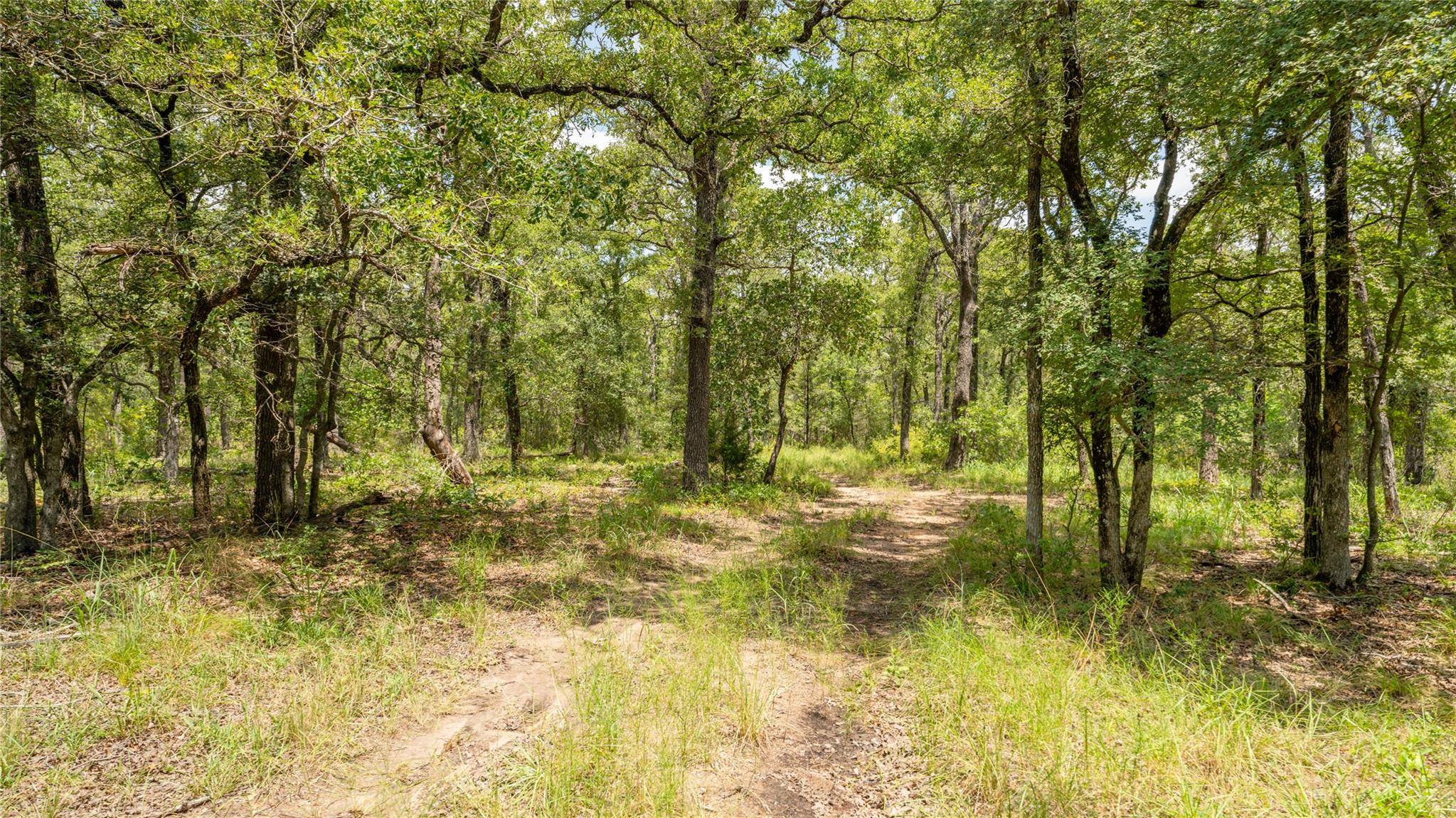 Buckholts, TX 76518,418-D County Road 405