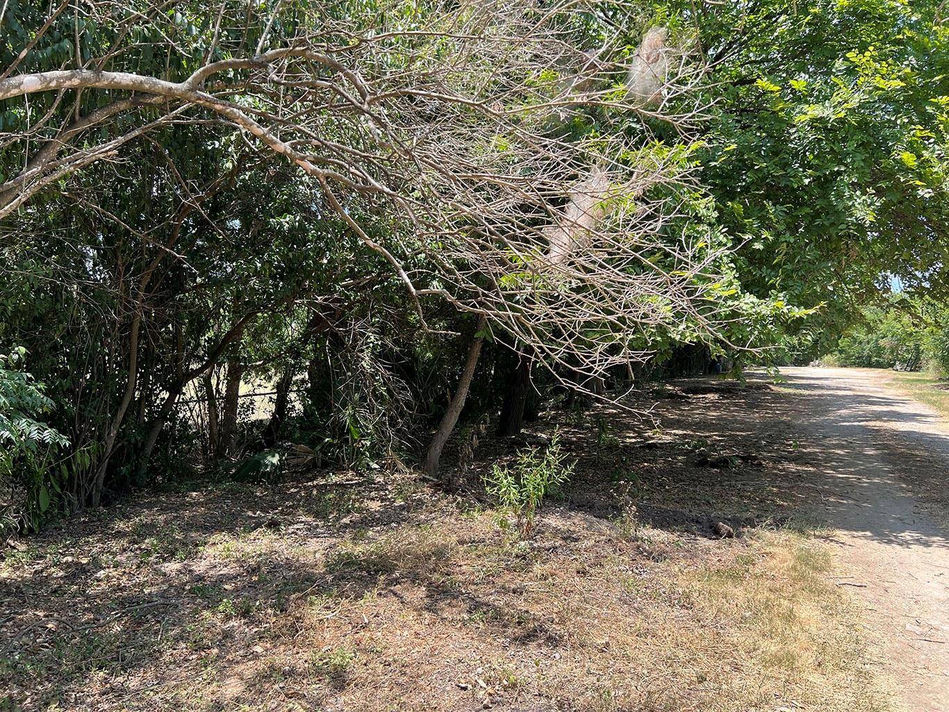 Austin, TX 78702,914 Shady LN