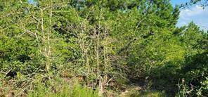 Bastrop, TX 78602,127 Hereford LN #Lot 42(1)
