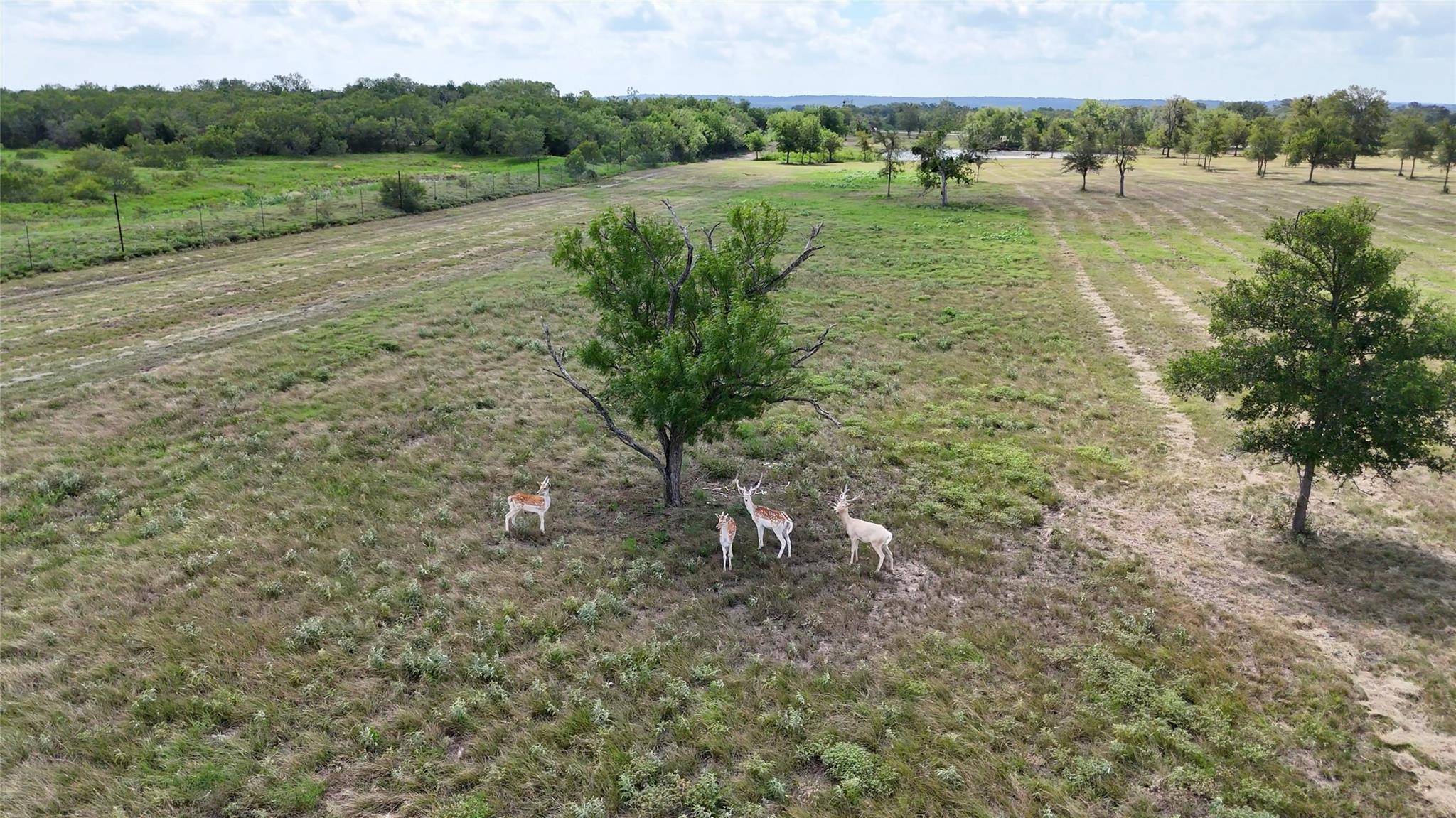 Red Rock, TX 78662,TBD Watterson Rd