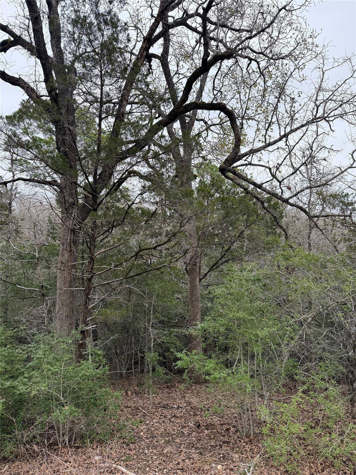 Bastrop, TX 78602,000 Wailupe CIR