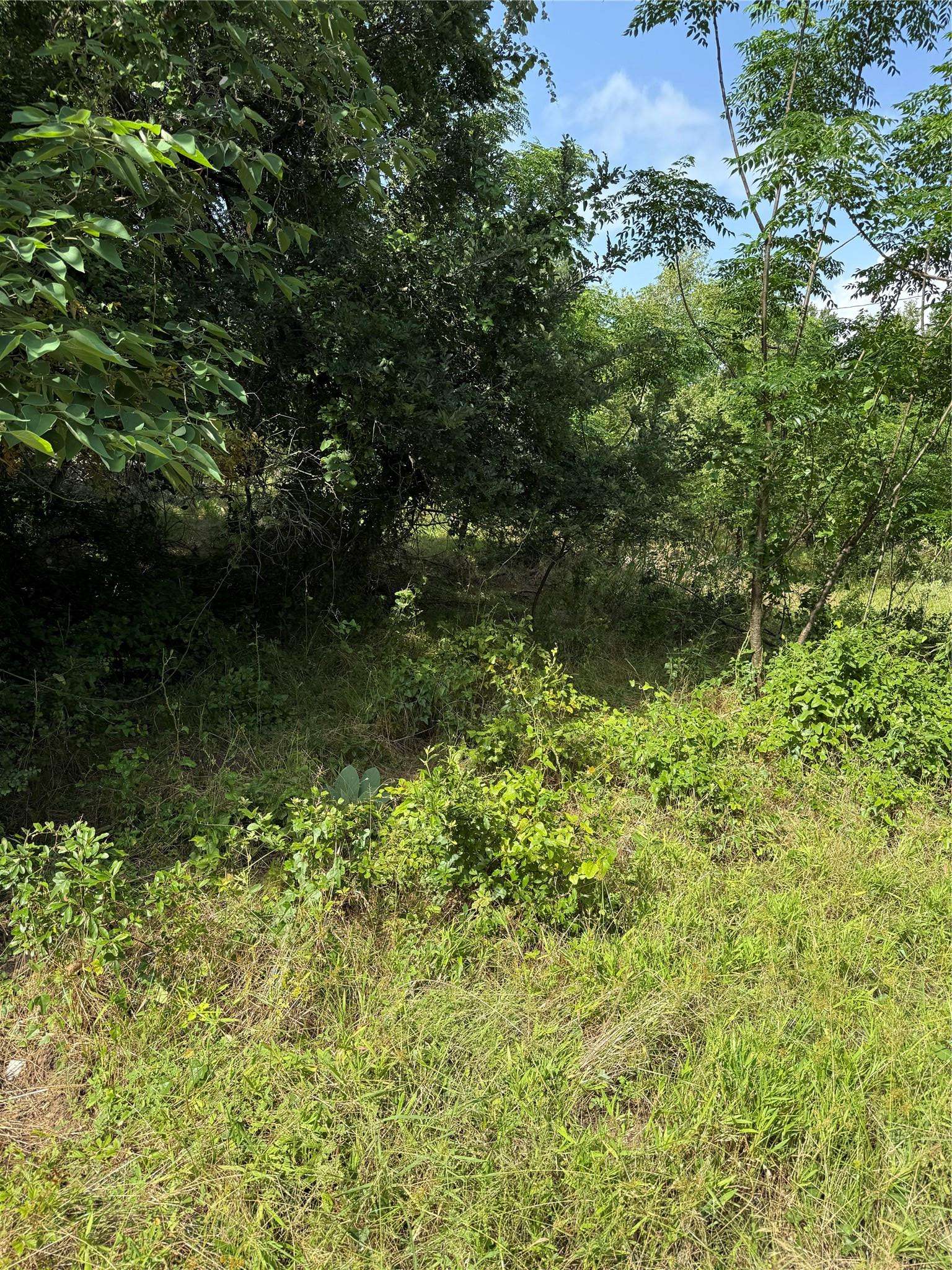 Cameron, TX 76520,1005 Henderson ST