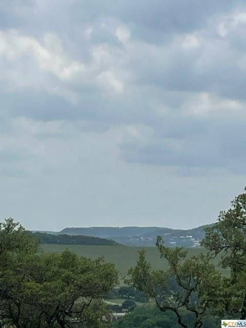 Canyon Lake, TX 78133,475 Village Top