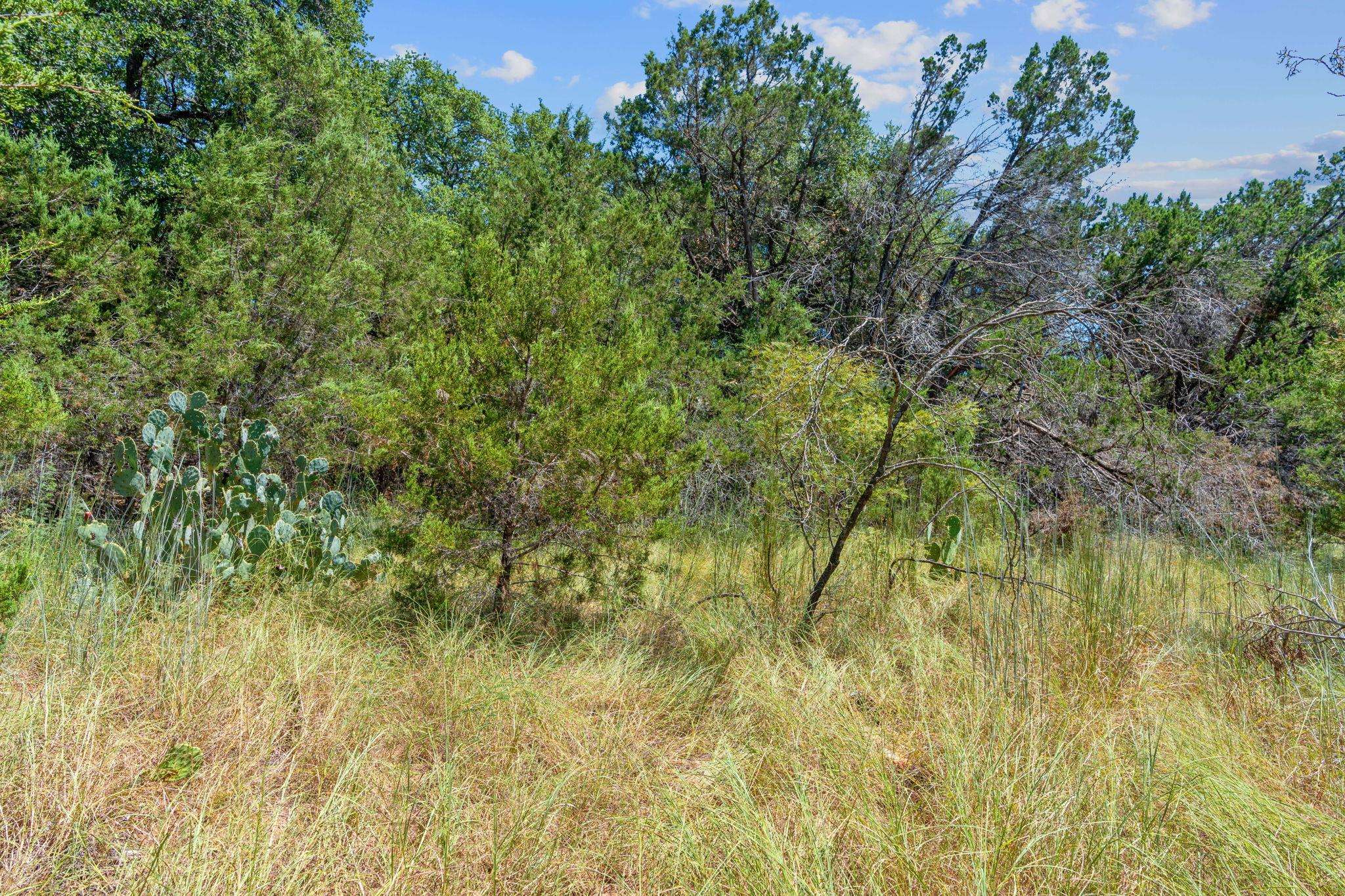 Leander, TX 78645,1803 Santa Alto Ave