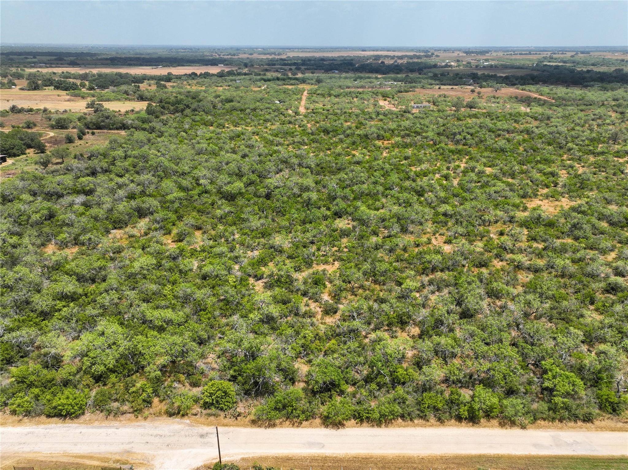 Floresville, TX 78114,Lot. 16 CR 124 Floresville