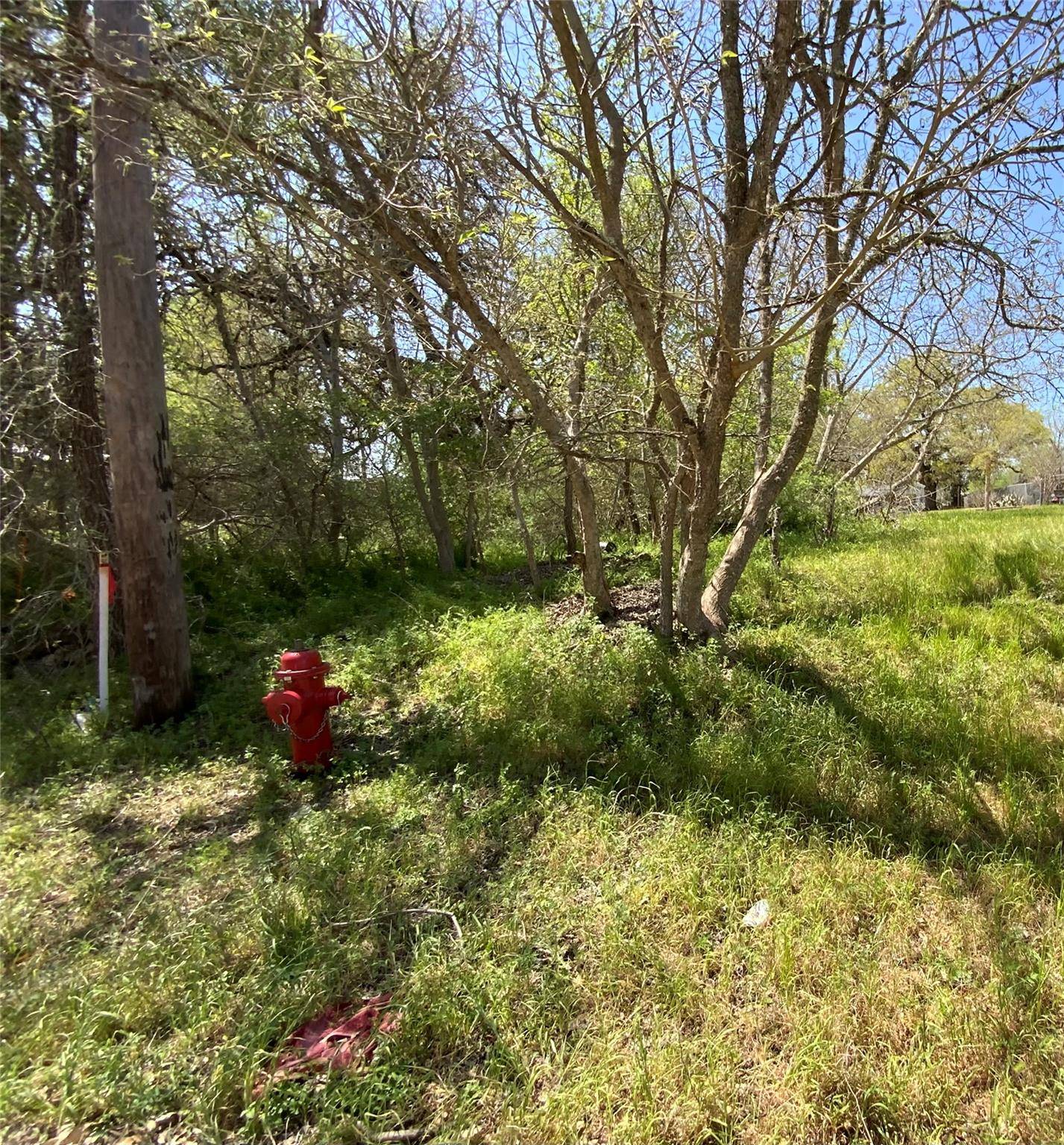 Lockhart, TX 78644,501 Monument ST